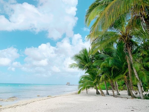Quels types de paréos sont incontournables pour un été à la plage?